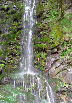 Водопад Девичьи слезы. Фото автора